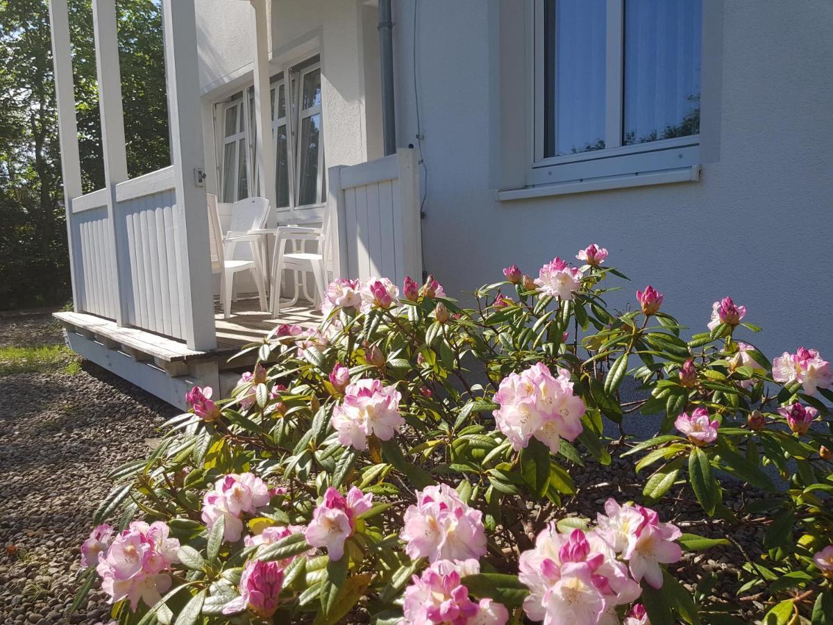 Residenz Seeblick Whg 4, Mit Gartenzugang Sellin  Buitenkant foto